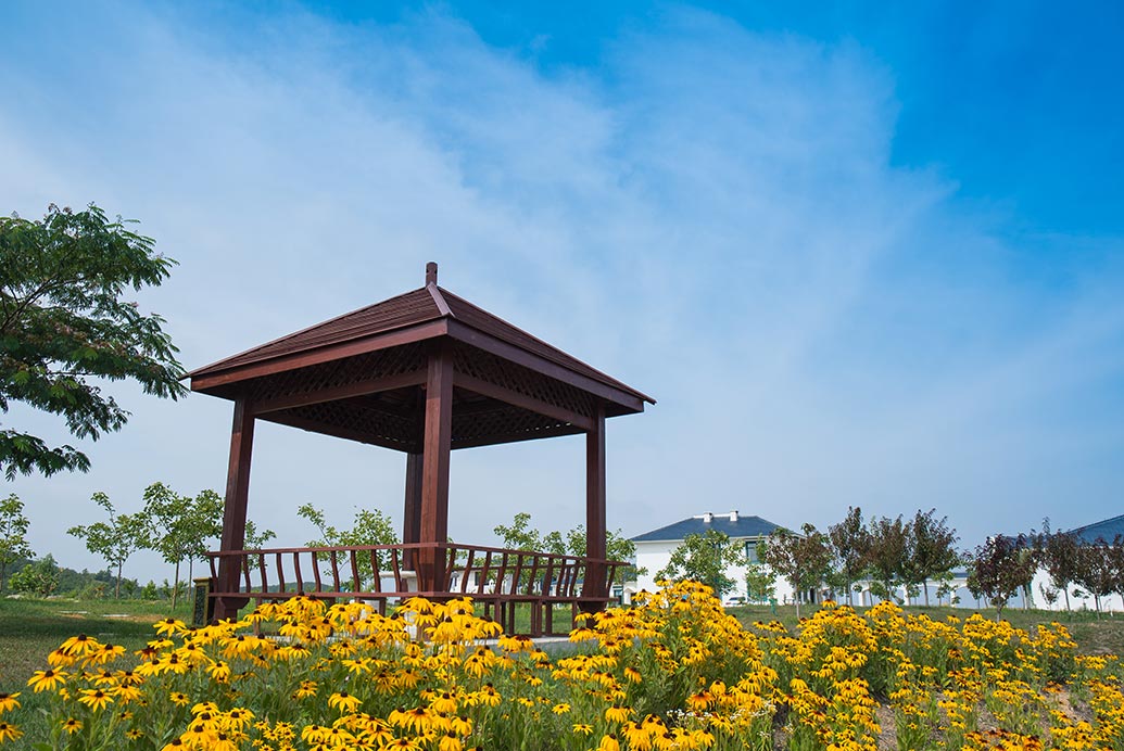 園區(qū)景色