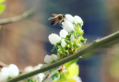 他是莊園社群經(jīng)濟(jì)第一人，要讓每位顧客都成為股東