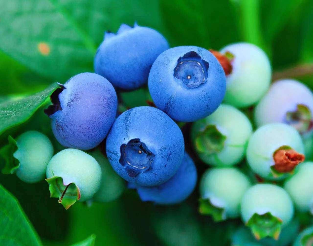 1640226593101555.jpg 1640226593101555.jpg