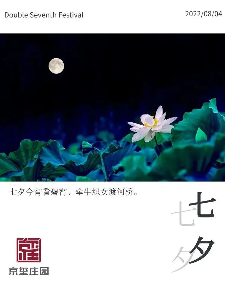 浪漫七夕 | 京璽莊園的蓮花悄然盛放……