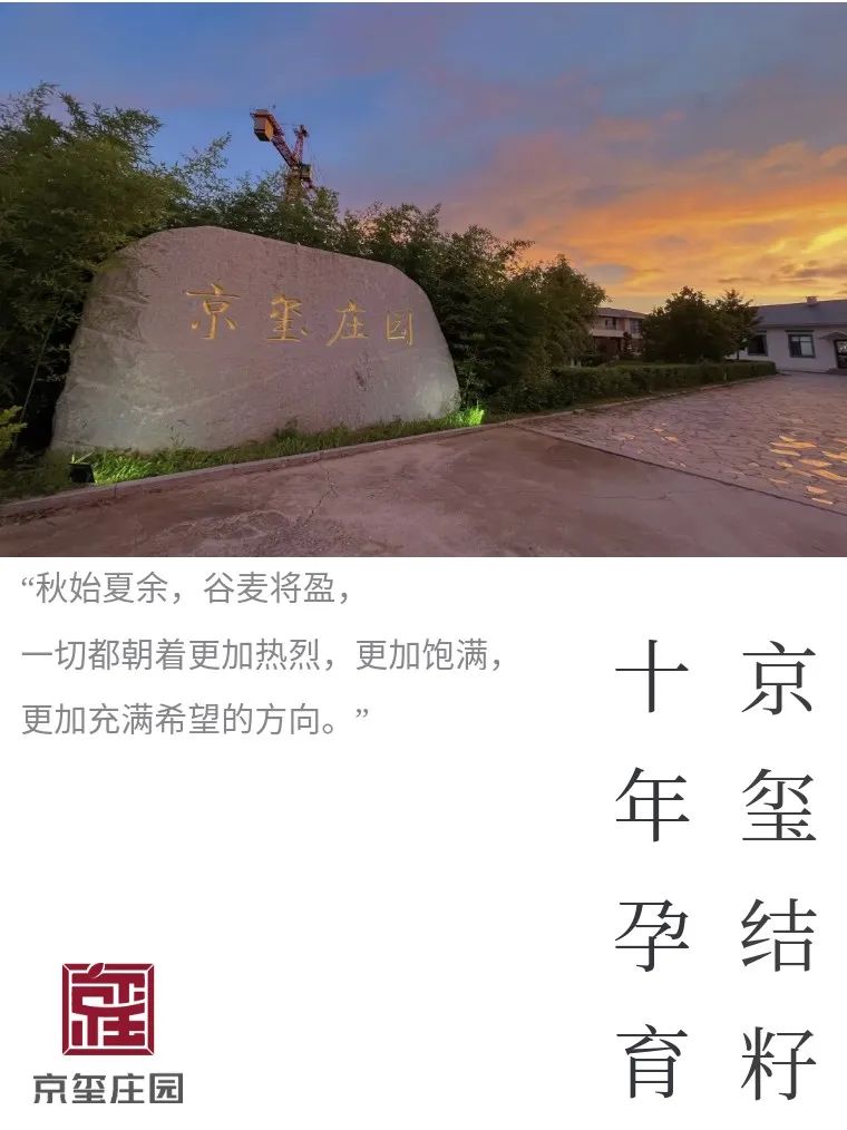 十年孕育，京璽結(jié)籽